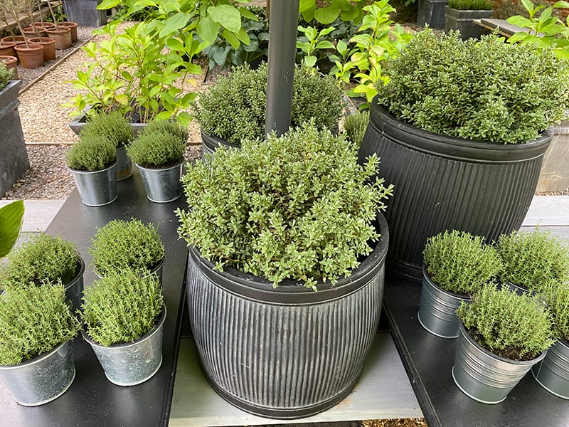 estate-garden-management-001